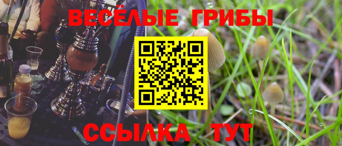купить наркоту  Галлюциногенные грибы Cubensis  Вход с VPN  Домодедово 