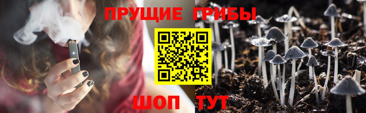 Псилоцибиновые грибы MAGIC MUSHROOMS Домодедово