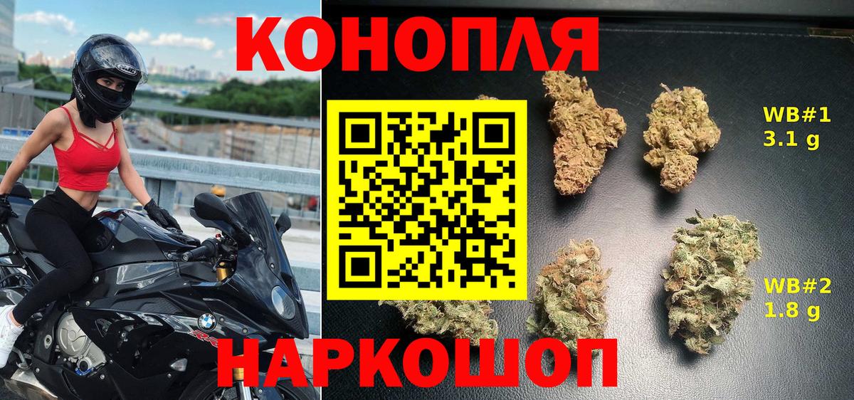 Бошки марихуана конопля Домодедово